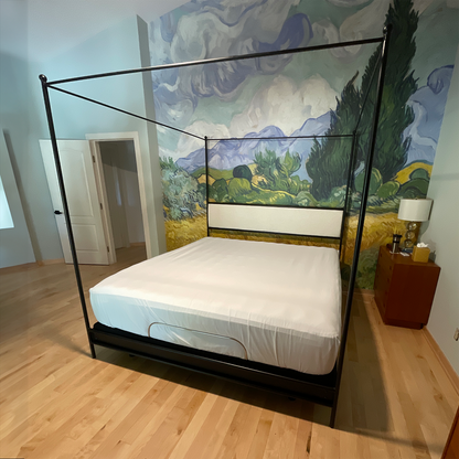 Corinth Iron Canopy Bed