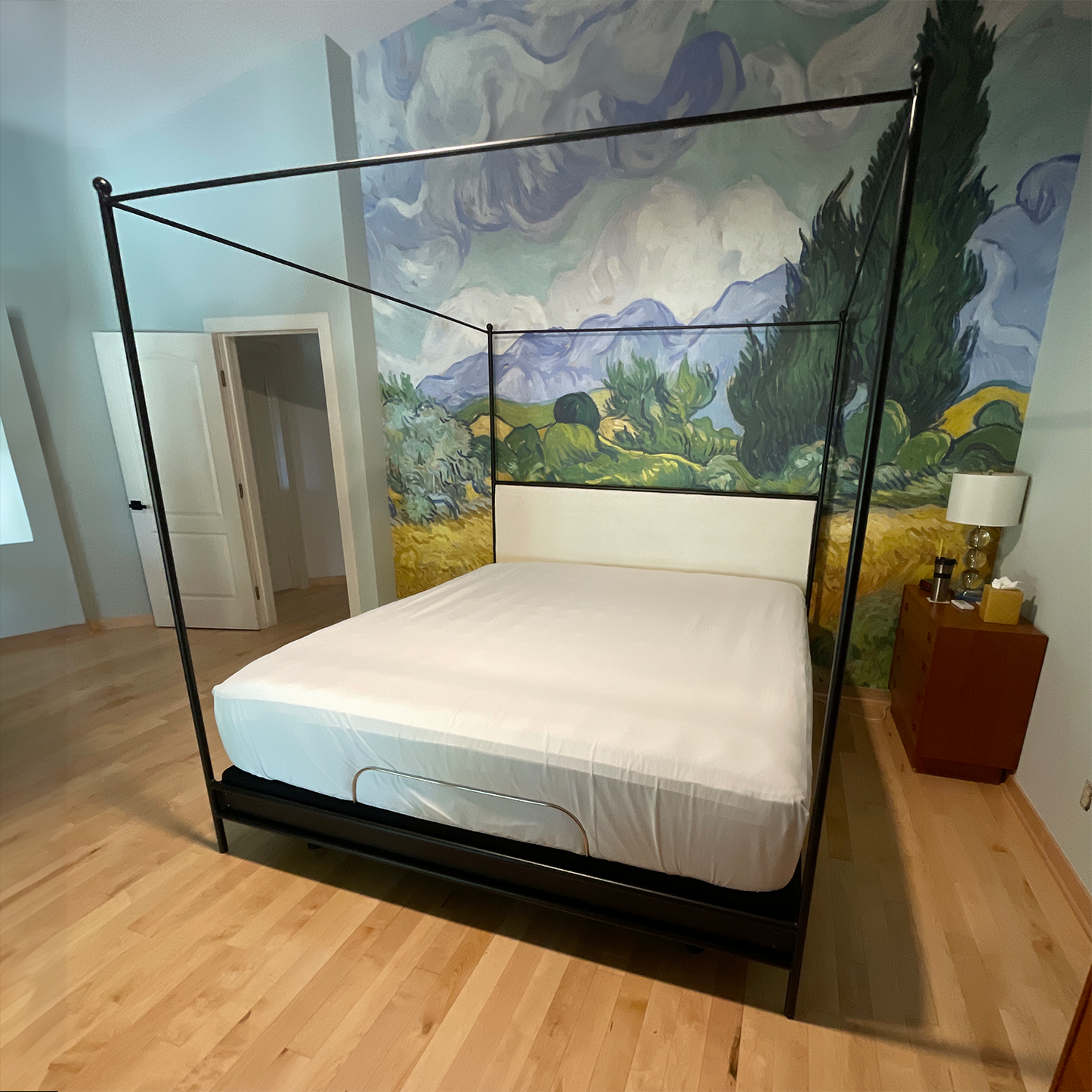 Corinth Iron Canopy Bed